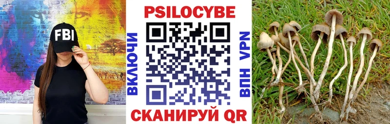 Псилоцибиновые грибы MAGIC MUSHROOMS  Чебаркуль 
